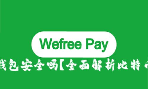 比特币转入钱包安全吗?全面解析比特币钱包安全性