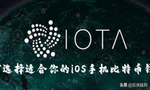 如何选择适合你的iOS手机比特币钱包?