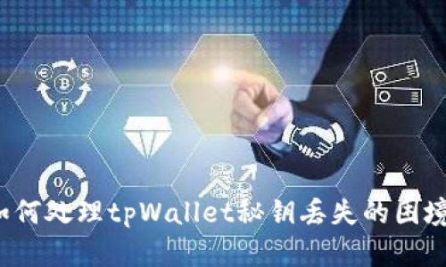 如何处理tpWallet秘钥丢失的困境?