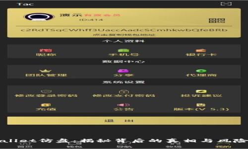 tpWallet仿盘:揭秘背后的真相与风险分析