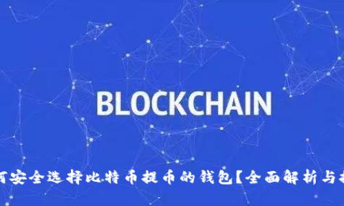 如何安全选择比特币提币的钱包?全面解析与推荐