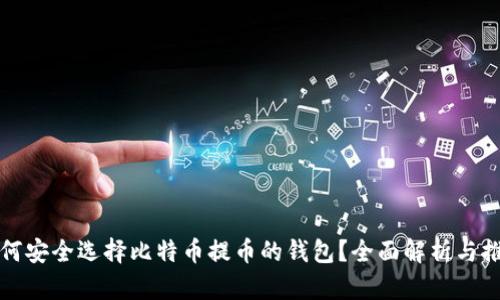 如何安全选择比特币提币的钱包?全面解析与推荐