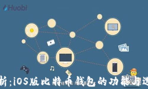 全面解析:iOS版比特币钱包的功能与选择指南