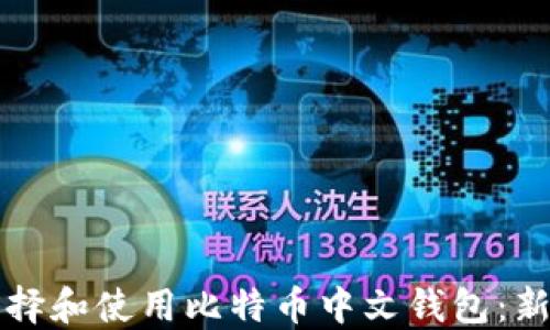 如何选择和使用比特币中文钱包:新手指南
