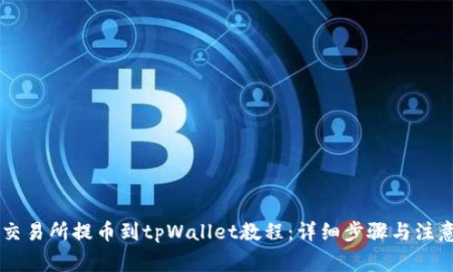 币安交易所提币到tpWallet教程:详细步骤与注意事项