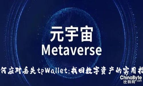 如何应对丢失tpWallet:找回数字资产的实用指南