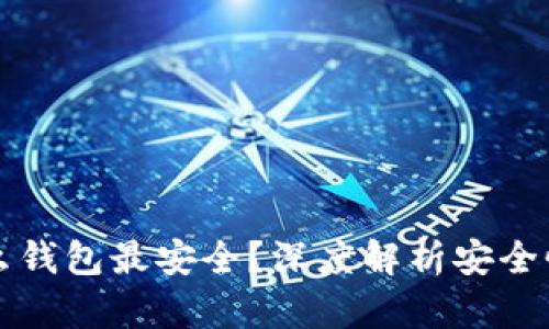 比特币存什么钱包最安全?深度解析安全性与选择指南