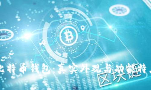 揭秘比特币钱包：真实外观与功能特点一览