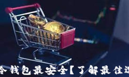 比特币存哪个冷钱包最安全?了解最佳选择与使用指南