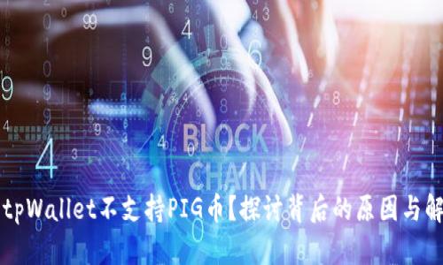 为什么tpWallet不支持PIG币？探讨背后的原因与解决方案